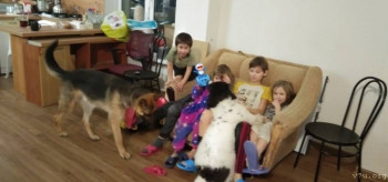 Становление Нашей приемной семьи. - WhatsApp Image 2022-02-05 at 13.14.13.jpeg