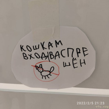 Когда кошка надоела...