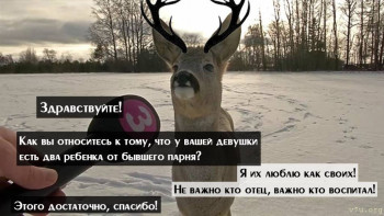 Усыновление в России, если живёшь в другой стране. - Yb8FhYm7Rl8.jpg