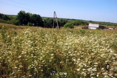 Летний отдых - DSC_0650.JPG