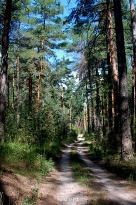 Летний отдых - DSC_0604.JPG