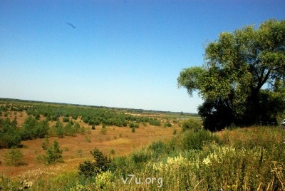 Летний отдых - DSC_0654.JPG