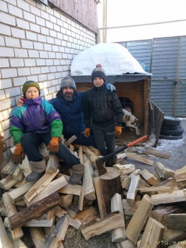 Мужики и дровишки)