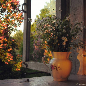 Недееспособная био, все сложно - Цветы7.jpg