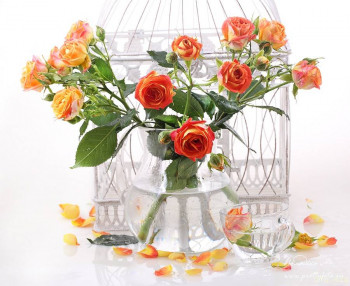 Япония.Жизнь и воспитание детей - 2022-04-27-12-22-50 (1).jpg