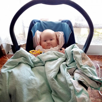 Ордей 2.5 месяца, вторая неделя дома