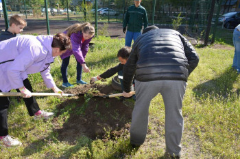 Завтра отмечаем годовщину Дня Аиста - i (1).jpg