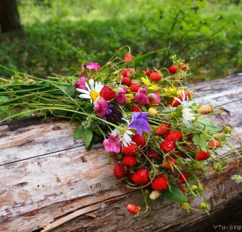 Безвозмездная опека. - Цветы8.jpg