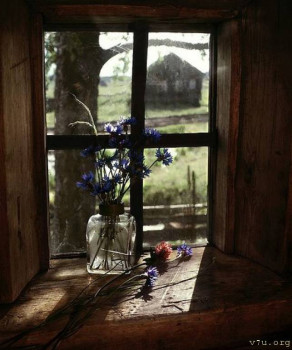 Взыскание алиментов суд . - Цветы6.jpg