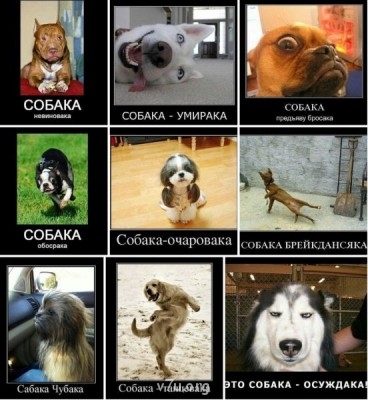 Генератор хорошего настроения - IMG-20140827-WA0004.jpg