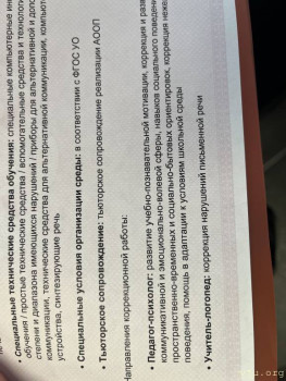 Это ему тьютор положен?