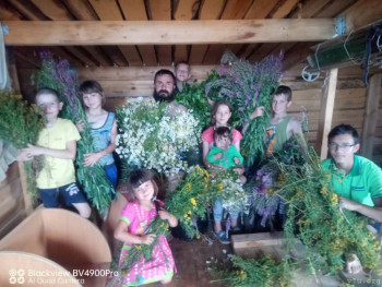 Сходили за травами..