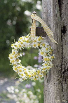 Мифы и реалии. Детки с СД. - f2e63df6530aac409ee24f2ef0796bb7.jpg