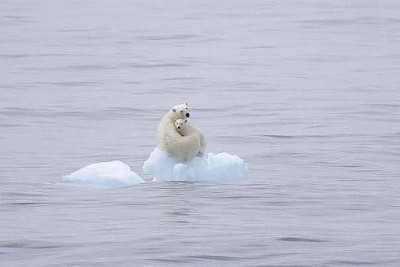 Генератор хорошего настроения - getImage-4.jpeg