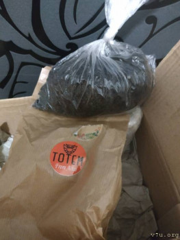 Настоящий таёжный мёд и другие полезные дары Алтая - IMG_20220921_173838.jpg