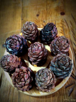 Настоящий таёжный мёд и другие полезные дары Алтая - IMG_20220926_143715.jpg