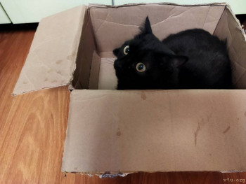 Настоящий таёжный мёд и другие полезные дары Алтая - IMG_20220926_160223.jpg