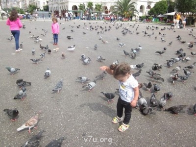 Я в начале пути - -OaY0nDJyFA.jpg