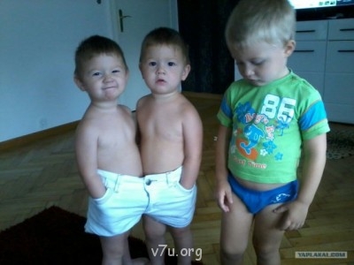 Генератор хорошего настроения - 3918746.jpg