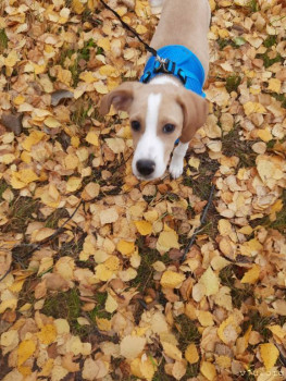 Домашние задания ,помогите,люди добрые  - 20221016_105139.jpg