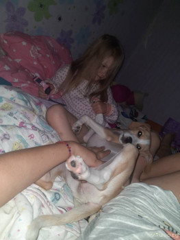 Домашние задания ,помогите,люди добрые  - 20221013_173020.jpg