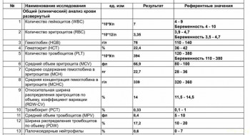 Хьюстон, у нас проблемы, или еда и поведение. - Снимок экрана 2022-10-24 в 23.35.56.jpg