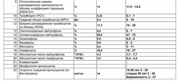 Хьюстон, у нас проблемы, или еда и поведение. - Снимок экрана 2022-10-24 в 23.36.08.jpg