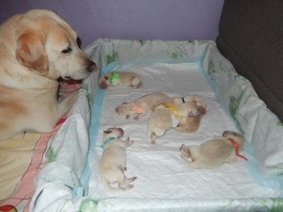 Генератор хорошего настроения - getImage-14.jpeg