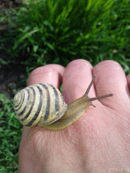 В базе данных приглянулся ребёнок - i (6).jpg