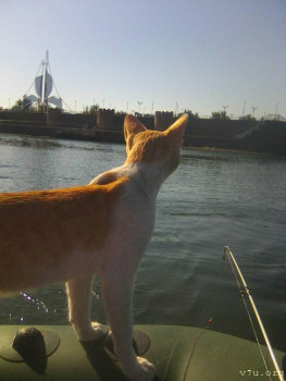 В базе данных приглянулся ребёнок - i (5).jpg