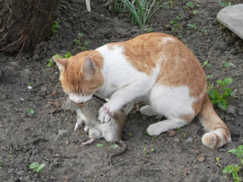 В базе данных приглянулся ребёнок - i (12).jpg
