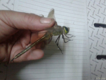 В базе данных приглянулся ребёнок - i (1).jpg