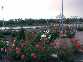 В базе данных приглянулся ребёнок - i (1).jpg