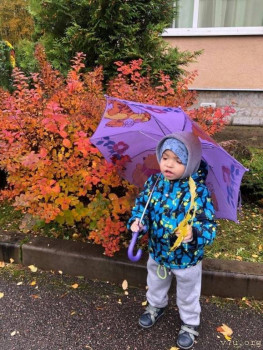 Передвигаясь на ощупь ... - image.jpg