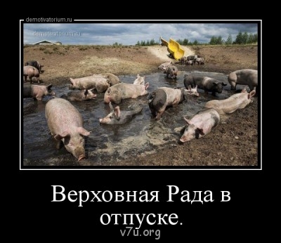 Обсуждение ситуации на Украине - 4080717.jpg