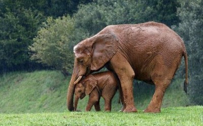 Генератор хорошего настроения - getImage-29.jpeg