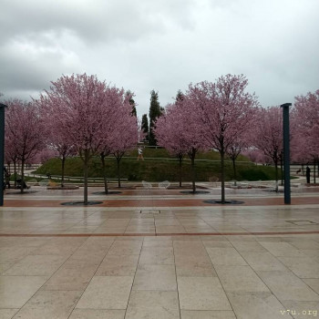 Переезд в Краснодарский край - IMG_20230327_135237_547.jpg