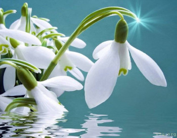  Скрижали опыта или просто вместо психотерапии - ОткрыткаВесна7.jpg