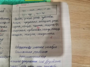 Умственная отсталость? - IMG_20230413_205347.jpg