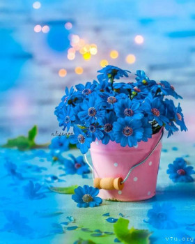 Япония.Жизнь и воспитание детей - UvOa4f3HhDk.jpg