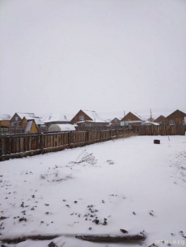 ВИД  НА  ДОМА .