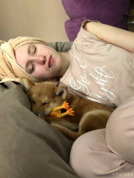 На  ДР подарил  ей  ее  МЧ  собаку  вот  воспитывают  ее  на  пару. После  утренней  прогулки  досыпают  обе