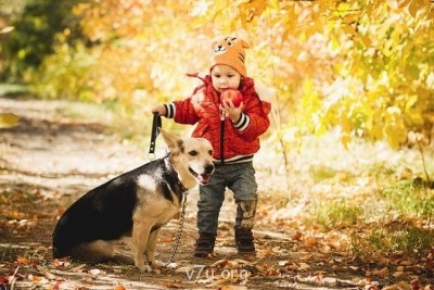 Я в начале пути - BORFQ492hJA.jpg