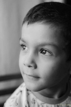 Из одной семьи - двое с полным статусом  - image.jpg