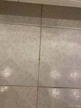 Покупки на  - BA2FD5E1-CA7B-4512-B36C-1EC367CD43EC.jpeg