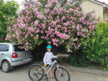 Устанавливаю отцовство через суд, отдадут ребёнка? 2 - IMG_20230609_164336.jpg