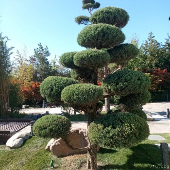 Переезд в Краснодарский край - IMG_20230908_150709_407.jpg