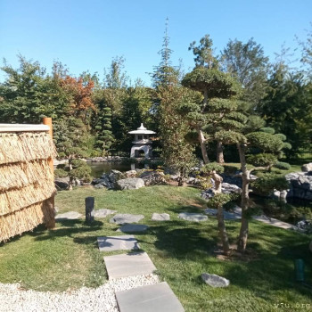 Переезд в Краснодарский край - IMG_20230908_150645_514.jpg