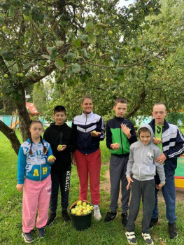 Димочка из Калужской области 2011 г.р. - image.jpg