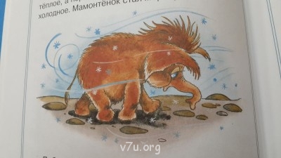 Усыновление двоих детей сразу - 20141117_142254.jpg